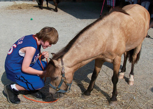 Summer School Program Uses Horses to Help Kids with Social Skills