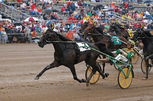 Buck I St Pat Leads Dan Patch Winners with Unanimous Vote