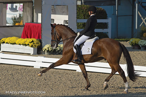 Dressage At Devon: Local Horses Make a Strong Showing