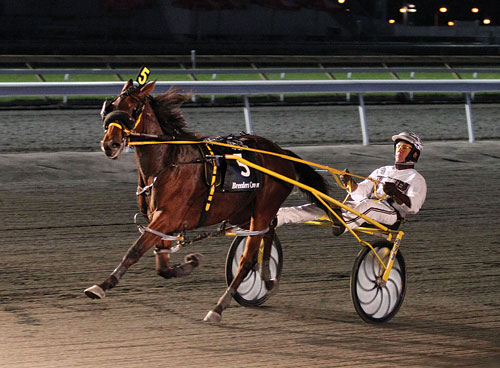 Economy Terror Is Best Two Year Old Pacing Filly