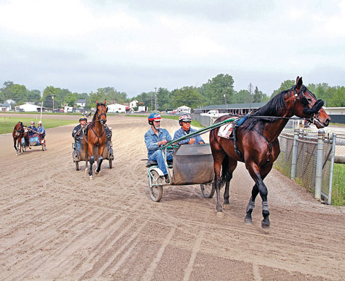 Standardbred Enthusiasts Learn to Race at USTA Driving School