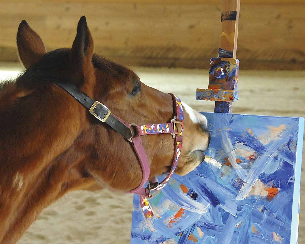 horse with paint brush in mouth painting