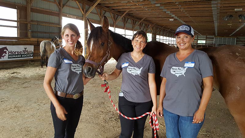 Kristen Breakfield, Tawnee Preisner and Meissa Reall pose with a surrendered Arabian mare