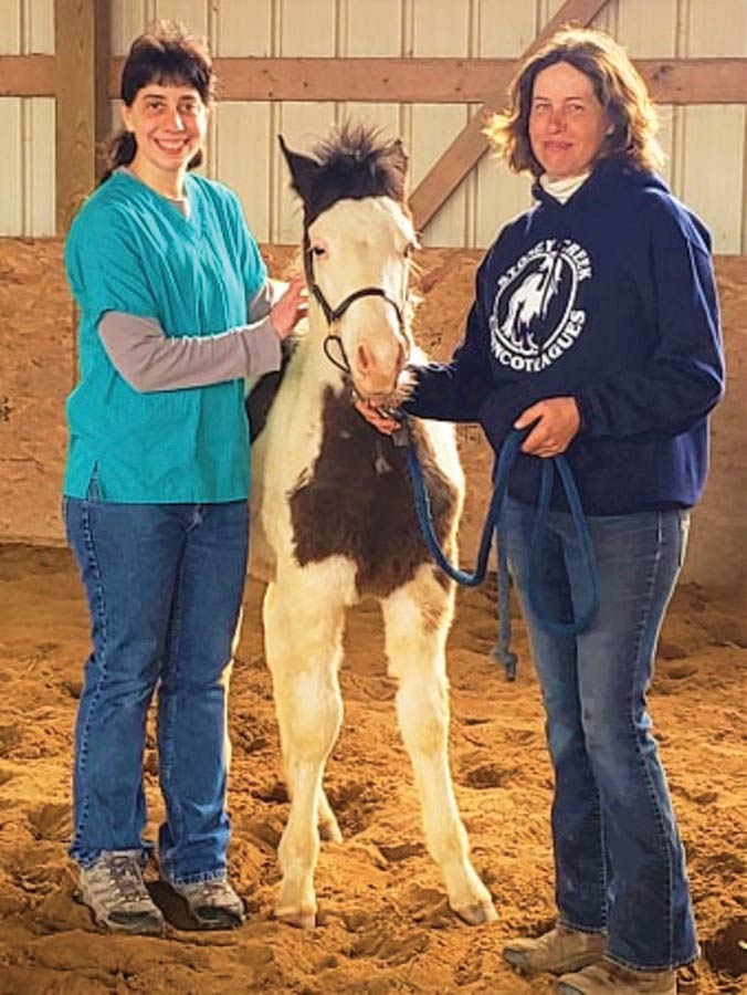 Allison Dotzel and Tipson Meyers with Summer's foal